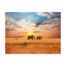Fototapet - Afrikanska savannen elefanter