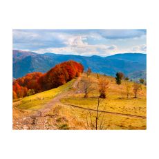 Fototapet - Hösten landskap i Karpaterna
