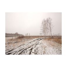 Fototapet - Winter field