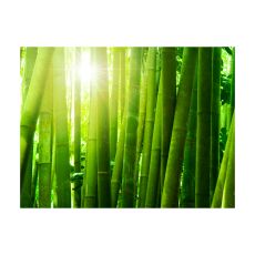 Fototapet - Sol och bambu