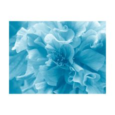 Fototapet - Blue azalea