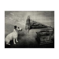 Fototapet - Dog's melodies