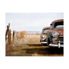 Fototapet - Två gamla amerikanska bilar