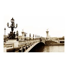 Fototapet - Alexander III Bridge, Paris