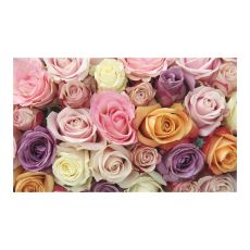 Fototapet - Pastel roses