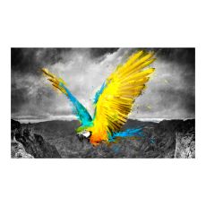 Fototapet - Exotic parrot