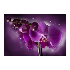 Fototapet - Fairy tale and orchid