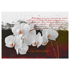 Fototapet - Diary and orchid