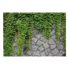 Fototapet - Green wall