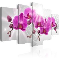 Tavla - Abstract Garden: Pink Orchids