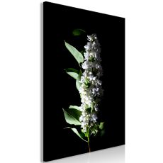 Tavla - White Lilacs Vertical