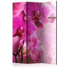Rumsavdelare - Pink Orchid