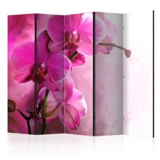 Rumsavdelare - Pink Orchid II