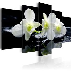 Tavla - Melancholic orchids