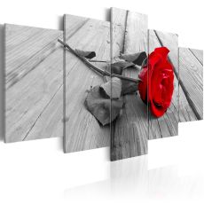 Tavla - Rose on Wood (5 delar) Wide Red
