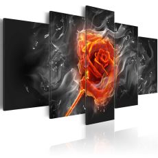 Tavla - Fiery Rose