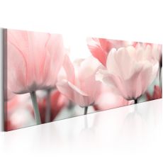 Tavla - Pink Tulips