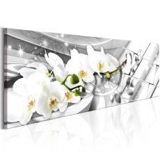 Tavla - Twisted Orchids