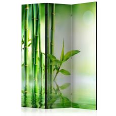 Rumsavdelare - Green Bamboo