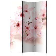 Rumsavdelare - Cherry Blossom