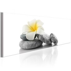 Tavla - White Lotus