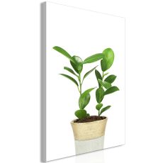 Tavla - Plant In Pot Vertical