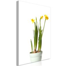 Tavla - Narcissus Vertical