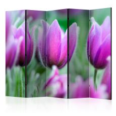 Rumsavdelare - Purple spring tulips II