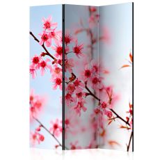 Rumsavdelare - Symbol of Japan - sakura flowers
