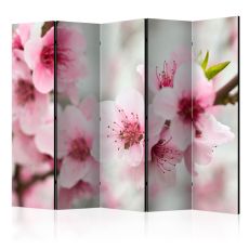 Rumsavdelare - Spring, blooming tree - pink flower