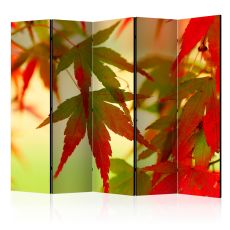 Rumsavdelare - Colourful leaves II