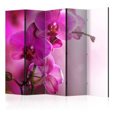 Rumsavdelare - Pink orchid II