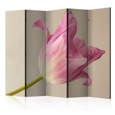 Rumsavdelare - Pink tulip II