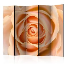 Rumsavdelare - Peach-colored rose II
