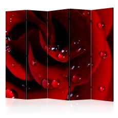 Rumsavdelare - Red rose with water drops II