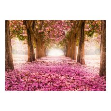 Fototapet - Pink grove