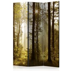 Rumsavdelare - Forest: Morning Sunlight 