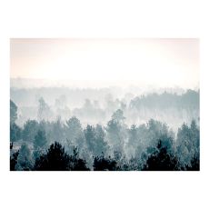 Fototapet - Winter Forest