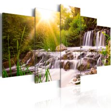 Tavla - Forest Waterfall