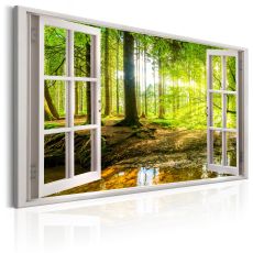 Tavla - Window: View on Forest
