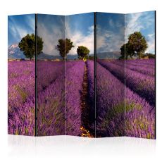 Rumsavdelare - Lavender field in Provence, France 