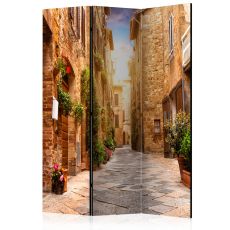 Rumsavdelare - Colourful Street in Tuscany
