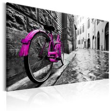 Tavla - Vintage Pink Bike