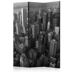Rumsavdelare - New York: skyscrapers (bird's  ...