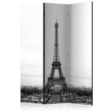 Rumsavdelare - Paris: black and white photography