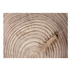 Fototapet - Wood grain