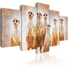 Tavla - Family of meerkats