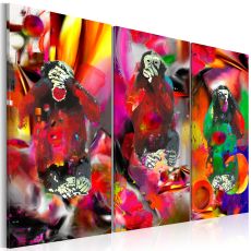 Tavla - Crazy Monkeys - triptych