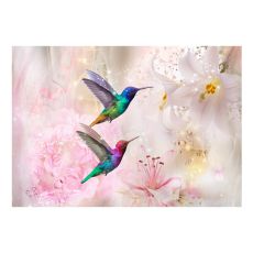 Fototapet - Colourful Hummingbirds (Pink)