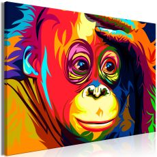 Tavla - Colourful Orangutan Wide